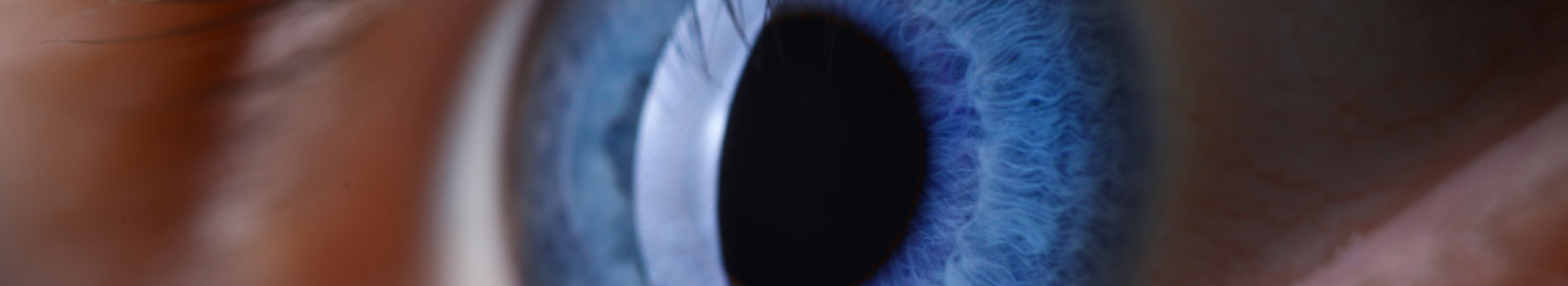 Panoramafoto - blaues Auge